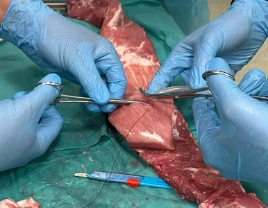 Miniatura: Szpital w Hajnówce pod opieką ekspertów...