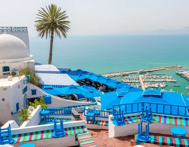 Miniatura: Polacy pokochali te kierunki. „W ostatnich...