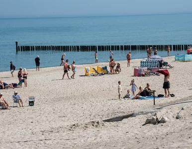 Miniatura: Polskie plaże lepsze niż w Chorwacji i na...