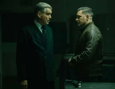 Miniatura: Seriale podobne do „Stefy gangsterów”....