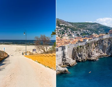 Miniatura: FlixBus rzuca wyzwanie PKP. Nowe...