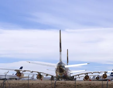 Miniatura: Symbol niespokojnych czasów. Giganci...