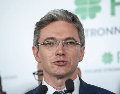 Miniatura: Europa szykuje strategię. Europoseł...