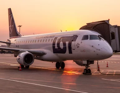 Miniatura: Pilot zobaczył to na kokpicie. Zdecydował...