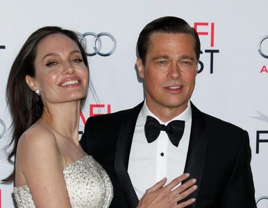 Miniatura: Jolie sprzedała swoje udziały w ukochanej...