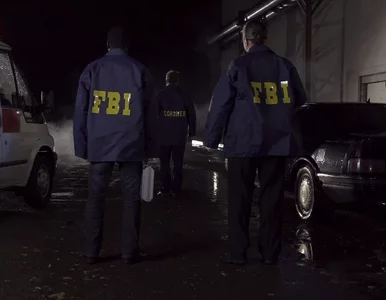 Miniatura: 29 mln dolarów i ucieczka za granicę. FBI...
