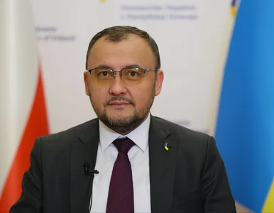 Miniatura: Burza po słowach ambasadora Ukrainy o...