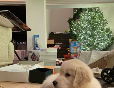 Kourtney Kardashian pozbyła się psa, bo spodobał jej się nowy?...
