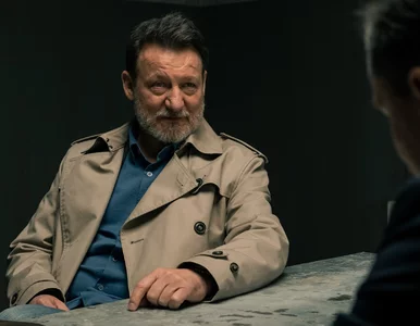 Miniatura: „Ogląda się jednym tchem”. Ten polski...
