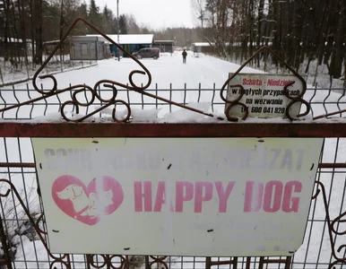 Miniatura: Schronisko w Sobolewie zamknięte. Tusk:...