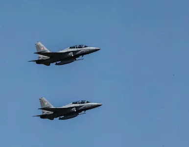 Miniatura: Polska poderwała myśliwce. Dowództwo...