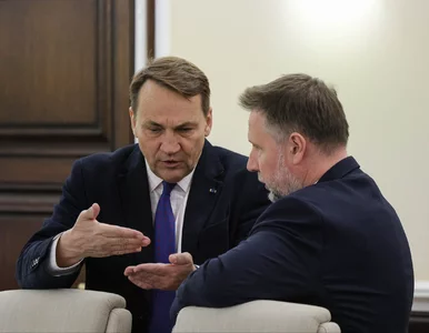 Miniatura: Polacy wysłali Sikorskiemu sygnał. Szef...