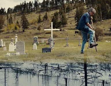 Miniatura: 17 filmów, które w ubiegłym roku walczyły...