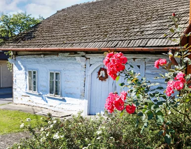 Miniatura: Mówią, że to najpiękniejsza polska wieś....