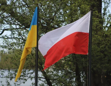 Miniatura: Niepokojący trend w Polsce. Ataków na...