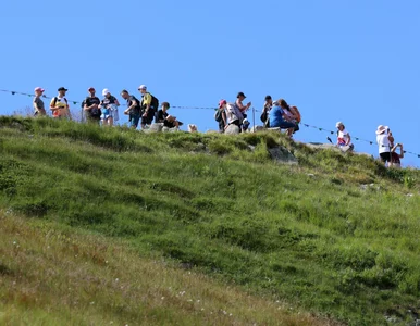 Miniatura: Takiego tłumu w Tatrach się nie...