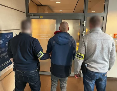 Miniatura: Włamywacz wpadł w ręce łódzkiej policji....