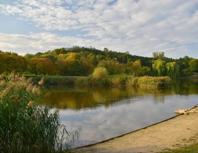 Miniatura: Ten warszawski park kojarzy się ze...