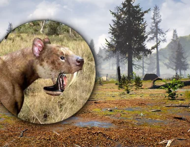 Miniatura: Prehistoryczne bagna kryły prawdziwego...