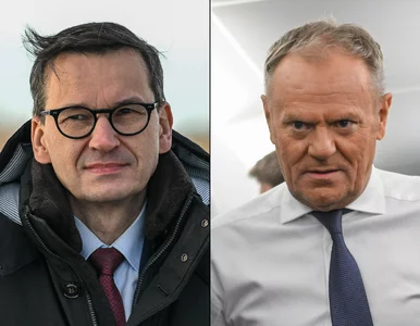 Miniatura: PiS upadnie? Morawiecki wbił szpilę...