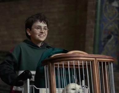 Miniatura: „Postacie z Temu”; „Czarnego Snape'a nie...