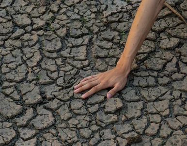 Miniatura: Miliony ludzi zagrożone brakiem wody....