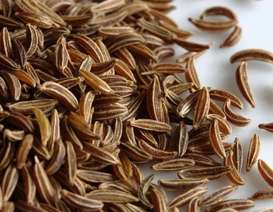 Miniatura: Wystarczy szczypta dziennie. Ta zapomniana...