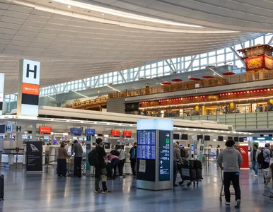 Miniatura: Kolosalna instalacja na znanym lotnisku....