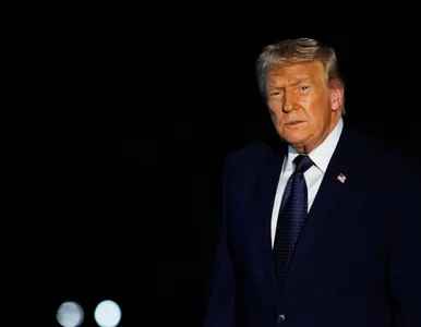 Miniatura: TVN zmienił właściciela. Wcześniej Trump...