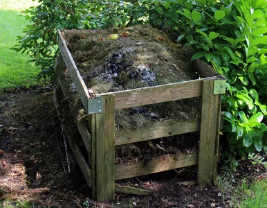 Miniatura: Jeśli teraz odpuścisz, kompost zgnije...