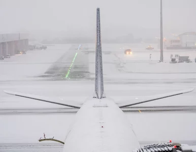 Miniatura: Samoloty nie lądują i nie startują....