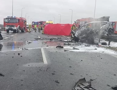 Miniatura: Mistrz świata z Polski cudem uniknął...