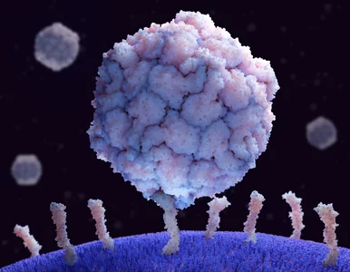 Miniatura: Nie było go w Niemczech 30 lat. Straszny...