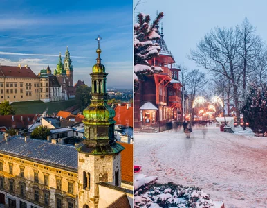 Miniatura: Dostrzegają w Polsce to, czego nie ma w...