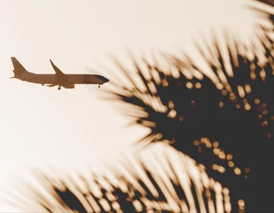 Miniatura: Linia lotnicza oskarżona o współpracę z...