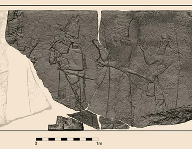 Miniatura: Spektakularne odkrycie archeologów. To...