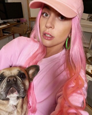 Miniatura: Lady Gaga i jej psy