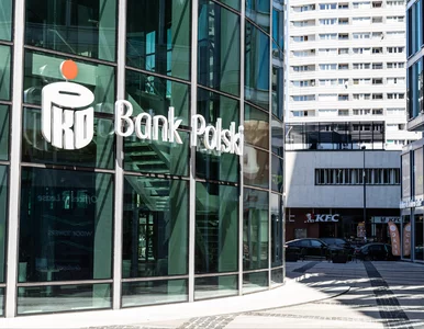 Miniatura: Kapitał dla przyszłości. Jak PKO Bank...