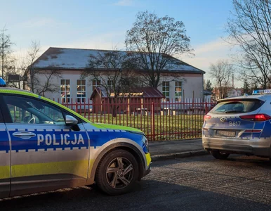 Miniatura: Tragiczna śmierć 11-latki. MSWiA wydało...