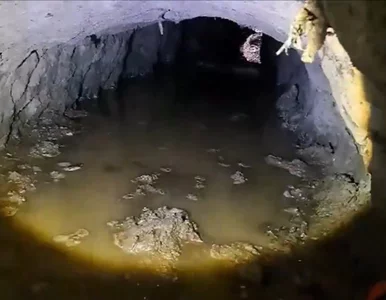 Miniatura: Fortel cudzoziemców się nie powiódł. SG...