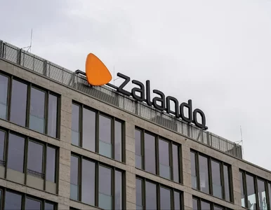 Miniatura: Platformy Temu i Zalando mają w Polsce...