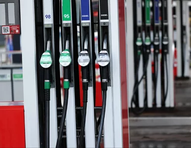 Miniatura: Nowe maksymalne ceny paliw. Tyle jutro...