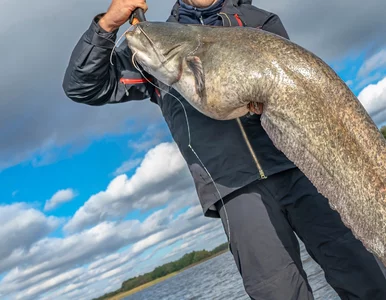 Miniatura: Polscy wędkarze z rekordem świata!...