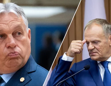 Miniatura: Orbán zaczepił Tuska. „Nie rób sobie nadziei”
