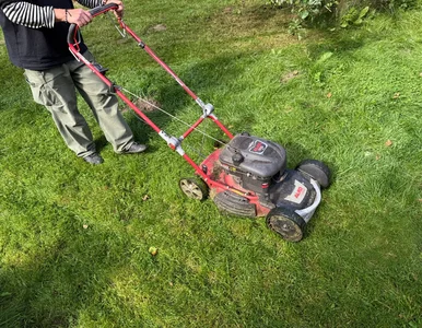 Miniatura: 7 kroków, dzięki którym Twoja kosiarka bez...