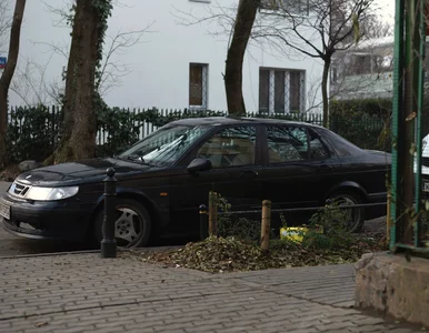 Miniatura: Mandat, punkty karne, holowanie. Co grozi...