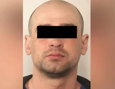 Miniatura: Zabójstwo czterech osób w pustostanie w...