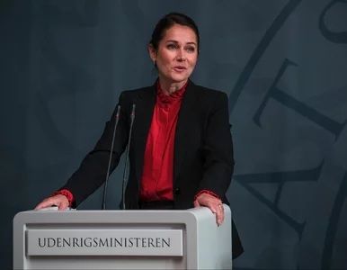 Miniatura: 30+ najlepszych seriali politycznych....