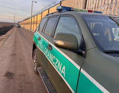 Miniatura: Wyraźny trend na granicy Polski i...