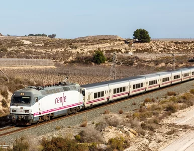 Miniatura: Czarna seria w Hiszpanii. Dramatyczny...